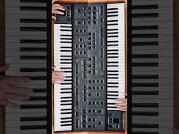 Behringer UB Xa Doing Bodyrox Yeah Yeah