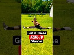 Guess These KUNG FU Stances! #wushu #shorts