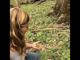 Eats Wild Episode 3: Treasure hunting in the woods