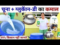 खेत में चूना + ग्लुकॅान-डी का कमाल | Lime uses in agriculture | chuna ka spray | Glucon-D spray