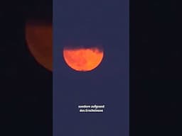 Heute zeigt sich der tiefste Vollmond seit 18 Jahren #Shorts