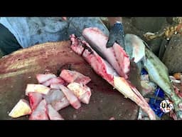 FISH CUTTING | FISH CUTTING SKILLS | FISH CUTTING VIDEOS #kasimedu | UK SONS MARINE