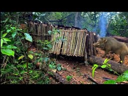 Build a temporary shelter from dry bark to survive in the wilderness