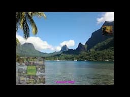 " Aremiti Rahi " - TAURAKI SUPER STARS