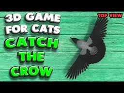 3D game for cats | CATCH THE CROW (top view) | 4K, 60 fps, stereo sound
