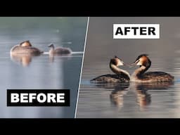 Why Your Photos Aren't Sharp (and How to Fix It)