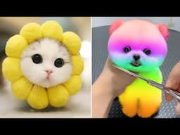 Funniest Animals 2025 😂 Best Funny Cats and Dogs 😻🐶 Part 18 | Cute Baby Dogs