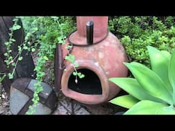 Gary’s VRBO San Diego Paradise Garden Tour