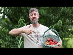 They Say Growing Fruit Trees From Seed is a "Bad Idea." They're Wrong! Here's why.