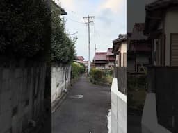 Beautiful Japan #shortvideo #walkingtour  #nature #japan