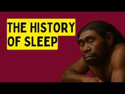 The Evolution of Sleep- Million Years History