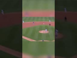 Rays Top Prospect Carson Williams Shows Off Incredible Power #Rays #MLB #Baseball #HomeRun