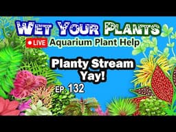 Planted Aquarium Problems? Let's chat (WYP 132)