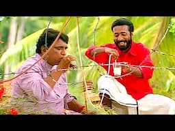 പാലിന് പകരം പശു ഇപ്പോൾ കോഫി ആണോടാ തരുന്നേ | Harisree Ashokan Comedy | Malayalam Comedy Scenes