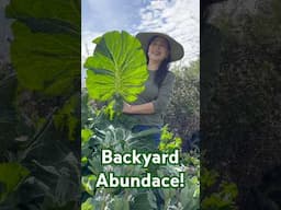 Turn Your Backyard Into A Food Producing Machine!!! #gardening #harvest #abundance