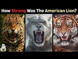How Strong Was The American Lion Compared to Today’s Big Cats?