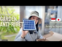 Garden setelah gagal + Mainan baru! 😆