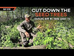 Improving Timber by Cutting Down Seed Trees - When to Coppice Oak Trees | Dream Farm w/ Bill Winke
