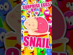 🐌 THE SNAIL! 🌈🐣 Colorful Surprise Eggs! ✨#titounis #snail #surpriseeggs #songsforkids #animals