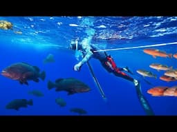Is SPEARFISHING This EASY? Florida Keys Grouper Cheek Catch n Cook