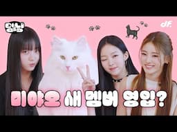 [ENG] 미야오 새 멤버 공개합니다...🐈  | [멍&냥] 미야오(MEOVV) 수인, 안나, 나린