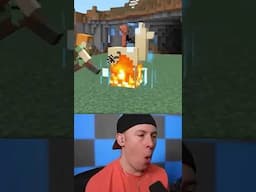 Minecraft MEMES