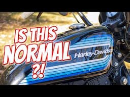 Give Me 7 Minutes & I'll Tell You This Sportster's Weaknesses
