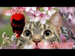 EmGo's LIVE Hangout! 4/25/25