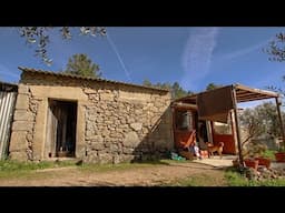 Building a Homestead in a Portuguese Olive Grove.