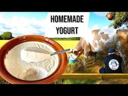 How To Make Yogurt at Home 🍶 Easy Step by Step Recipe 📝 Turkish Village Life