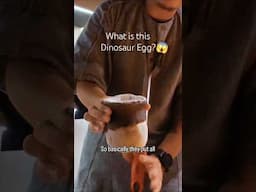 This Dinosaur Egg is One Of The Rarest Salts In The World! 🇵🇭🦖🥚 What is Asin Tibuok?