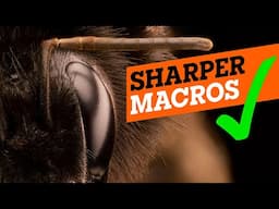 How to do Focus Stacking | complete guide with miops slider+