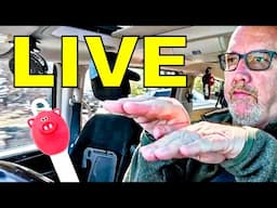 Ken Domik Saturday Night LIVE Reaction Ft. Mr. Pig