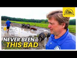Why We Broke Some Rules with Pastured Pigs and Regenerative Farming