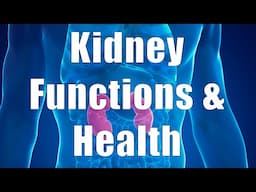 Kidney Functions & Health (Nutrition 101, DiTuro Productions, LLC)