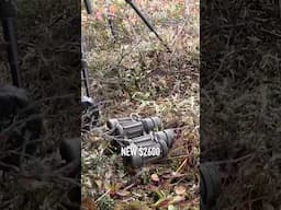 Better equipment doesn’t make you better! #alaskahunting #hunting #optics #bearhunting