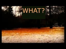2007 Orange snow incident