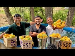 Mango Party 🎉🥭🥰