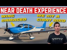 I LIVED Through Every Pilot's Worst NIGHTMARE... Bird Strike
