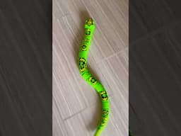 robo alive (robo alive snake) #snake #python #cobra #shorts #shortsvideo #robot #trending