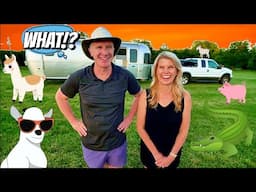 Goats, Gators, Pigs, & One Alpaca - Creative RV Camping with Harvest Hosts!