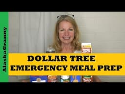 Emergency Grocery Meal Prep...Dollar Tree Food Haul