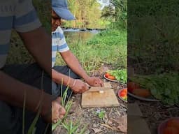 Feel the nature Vibes #ytshorts #nature #naturevibes #soothingmusic #trendingshorts #viralshorts