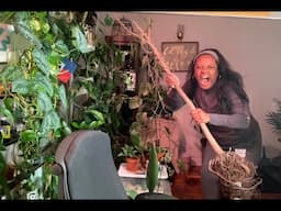 This Plant has me CRASHING OUT ! | First Week Back in the Office full time