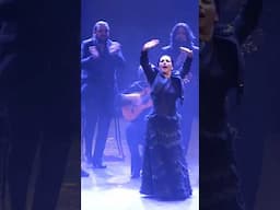 'For me it’s enough that people should feel' - Eva Yerbabuena #flamenco #dance