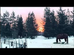 Beneath the Blue and Snowy Mountains by Hannah | Fresh Connections 4