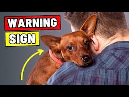 When Dogs LEAN Against You, This Is What It Really Means