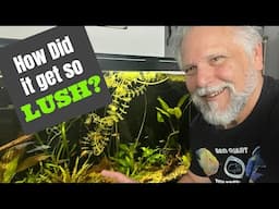 Planted Tank *SUCCESS!*