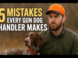 5 MISTAKES EVERY GUNDOG HANDLER MAKES and how to fix them!