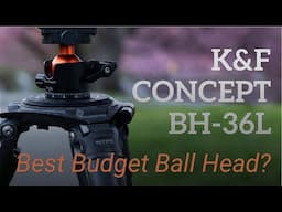 The K&F BH-36L Ballhead: Is This Budget Option Actually Worth It?